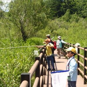 トンボ採りをするヤンマ団の子どもたち