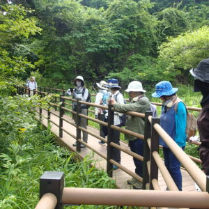 散策する参加者