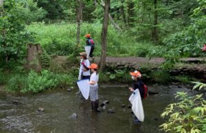トンボ採りをするヤンマ団の子どもたち