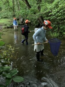コシボソヤンマを狙う子供