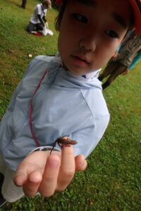 ニホンカナヘビを手に乗せる子供