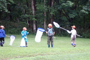 トンボ採集をする子供達