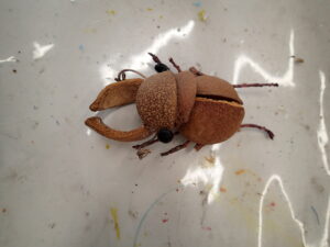 木の実を使ったクワガタ