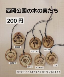 「西岡公園の木の実たち」のチラシ