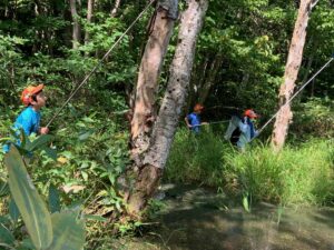 湿原でトンボを狙う子どもたち