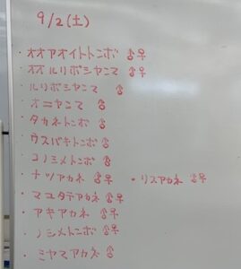 調査で採集出来たトンボのリスト