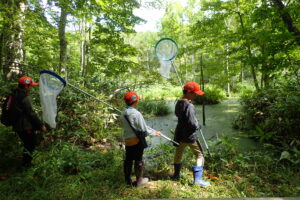 湿原でトンボを探す子ども