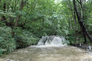 勢いよく流れる滝