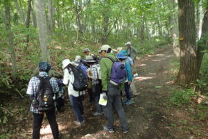 散策を楽しむ参加者の皆さま