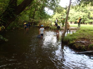 川で生きもの探しをする子供たち
