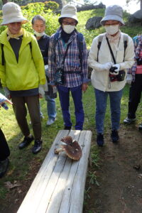 大きなキノコを囲んで観察する参加者