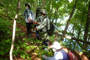 植物を観察する参加者