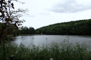 対岸に赤い屋根の取水塔が見える池の様子