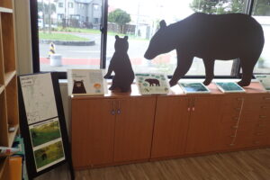 ヒグマの展示物の様子