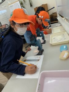 卵のスケッチをする団員