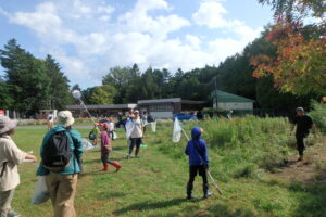 採卵するトンボを採集する団員