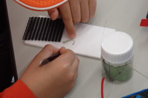 トンボの標本を作る団員