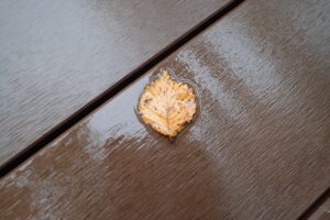 ハルニレの茶色い落ち葉