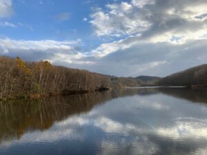 池と、池に映り込む空