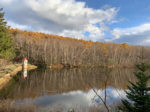池と、池に映り込む取水塔