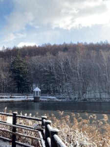 3割ほどしか凍っていない、昨日の池の様子