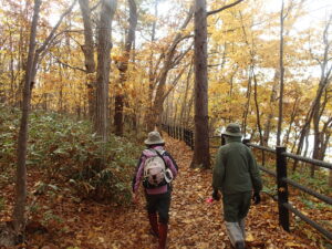 落ち葉の上を歩く来園者