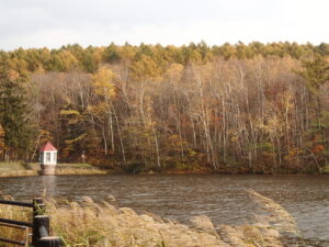 池の赤い屋根の取水塔と葉が少なくなった森の木々