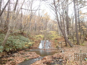 落ち葉に覆われた川と、小さな滝