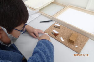 標本整理に集中して作業する子ども