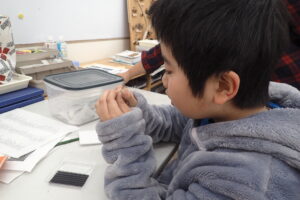 標本整理に集中して作業する子ども