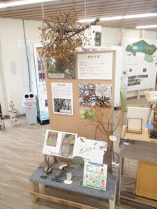 ヤドリギの展示