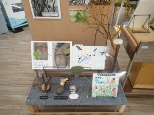 ヤドリギの展示