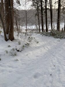 雪の積もった園路