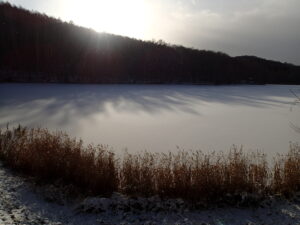 氷と雪に覆われた池