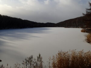 氷と雪に覆われた池