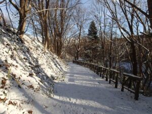 雪も積もった園路