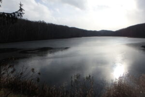 薄氷が張った池