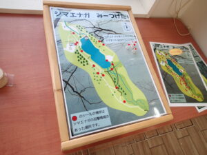 シマエナガの目撃マッピング