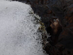 水辺の氷の上に霜が付いている
