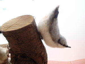 ゴジュウカラの模型