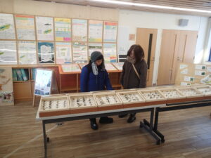 標本を見る親子