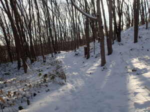雪道になった園路
