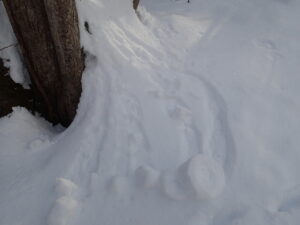 ロールケーキのような雪