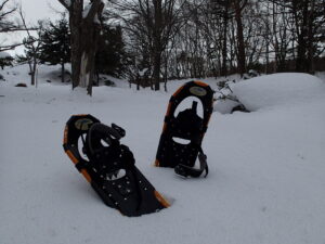 雪の上のスノーシュー