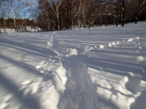 広場に付いた雪道