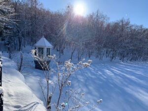 雪と氷の結晶が付いたノリウツギの樹と赤い屋根の取水塔