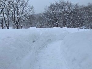 除雪された園路