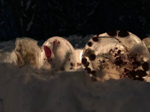 氷のなかにマツボックリを閉じ込めたオブジェがキャンドルに照らされた様子