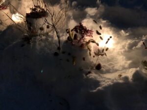 ドライフラワーで飾り付けられたスノーケーキ