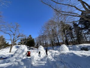 森の中にいくつの出来たイグルー